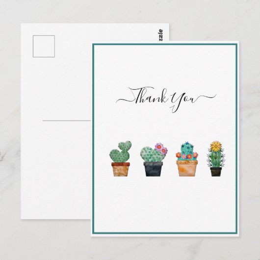 Carte Postale Joli cactus verdure fleur (Devant / Derrière)