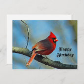 Carte Postale Joli Cardinal Rouge Photo Anniversaire (Devant / Derrière)