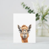 Carte Postale Joli chameau avec lunettes (Debout devant)