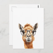 Carte Postale Joli chameau avec lunettes (Devant / Derrière)