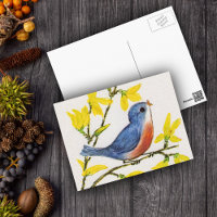 Joli Chanteur Oiseau Bleu Arbre