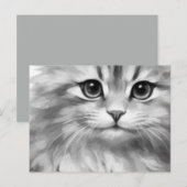 Carte Postale Joli chat aux nuances de gris (Devant / Derrière)