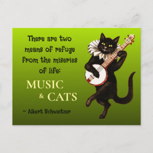 Carte Postale Joli chat musical Deux moyens de refuge Schweitzer