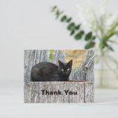 Carte Postale Joli Chat Noir Log Photo Merci (Debout devant)