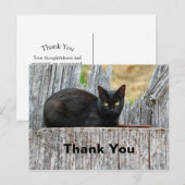 Carte Postale Joli chat noir Photo de journal Merci (Devant / Derrière)