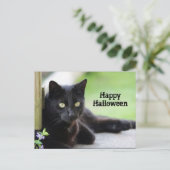 Carte Postale Joli chat noir photo Halloween (Debout devant)