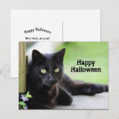 Carte Postale Joli chat noir photo Halloween (Devant / Derrière)