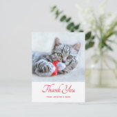 Carte Postale Joli Chat Qui Mord le Chapeau Rouge de Père Noël X (Debout devant)