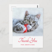 Carte Postale Joli Chat Qui Mord le Chapeau Rouge de Père Noël X (Devant / Derrière)