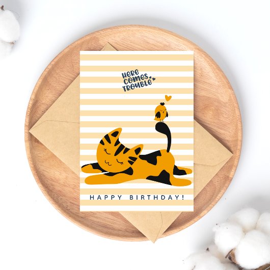 Carte Postale Joli Chat Roux - Anniversaire Enfants