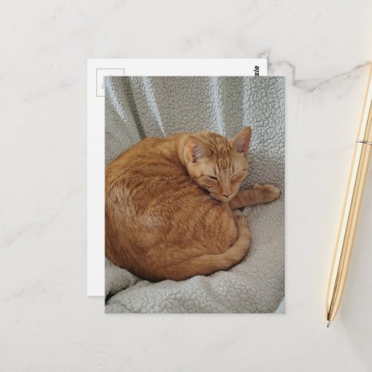 Carte Postale Joli Chat Roux Endormi (Devant/Arrière en situation)