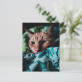 Carte Postale Joli Chat Roux Tabby Mignon (Debout devant)