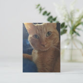 Carte Postale Joli Chat Roux Tabby Mignon (Debout devant)