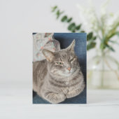 Carte Postale Joli chat tabby gris (Debout devant)