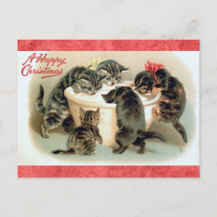 Carte Postale Joli chaton de Noël vintage