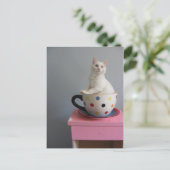 Carte Postale joli chaton en pot plante (Debout devant)