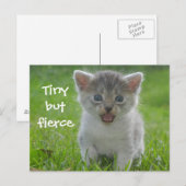 Carte Postale Joli chaton Miaou Minuscule mais féroce (Devant / Derrière)