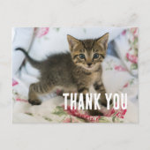 Carte Postale Joli chaton tabby a l'air surpris Merci (Devant)