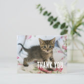 Carte Postale Joli chaton tabby a l'air surpris Merci (Debout devant)