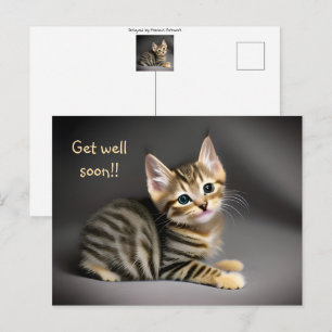 Carte Postale Joli chaton tabby fluffy bébé "remets-toi vite" 