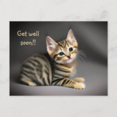 Carte Postale Joli chaton tabby mignon bébé "remets-toi vite"  (Devant)