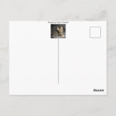 Carte Postale Joli chaton tigré mignon bébé "remets-toi vite"  (Dos)