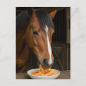 Carte Postale joli cheval bai mangeant des spaghetti (Devant)