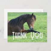 Carte Postale Joli cheval brun couché dans l'herbe Merci (Devant / Derrière)