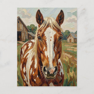Carte Postale Joli cheval brun et blanc   Garder le contact