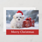 Carte Postale Joli Chien Chien Chien Chien Chien Chien Santa Cha (Devant / Derrière)