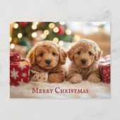 Carte Postale Joli chien chiot Joyeux Noël (Devant)