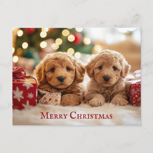 Carte Postale Joli chien chiot Joyeux Noël (Devant)