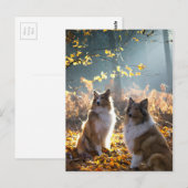 Carte Postale Joli chien Collie (Devant / Derrière)