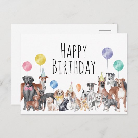 Carte Postale Joli chien coloré joyeux anniversaire (Devant / Derrière)