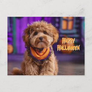 Carte Postale Joli Chien Joyeux Halloween Maison Hantée