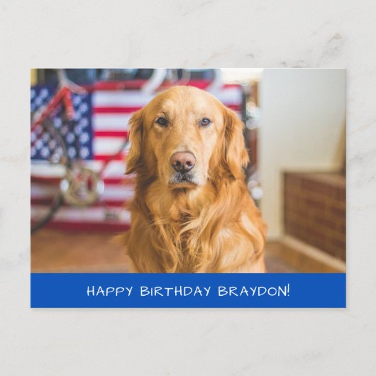 Carte Postale Joli chien Retriever doré (Devant)