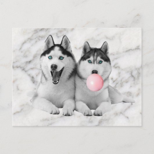 Carte Postale Joli Chiens Husky Sibériens Chauffant Bubble Gum (Devant)