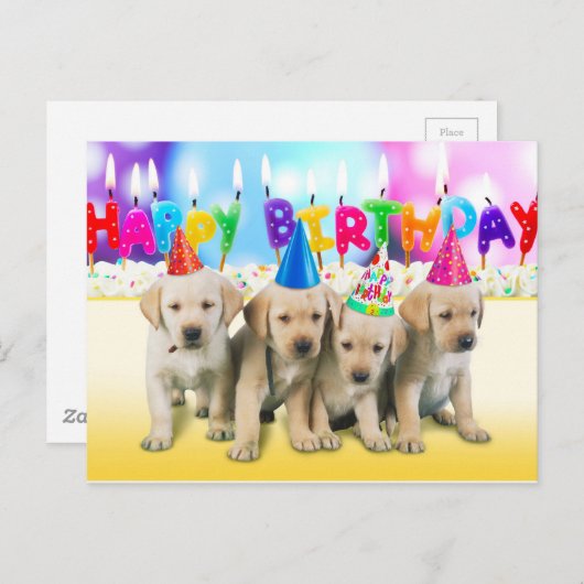 Carte Postale Joli chiot d'anniversaire (Devant / Derrière)