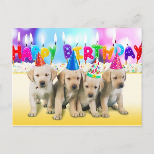 Carte Postale Joli chiot d'anniversaire (Devant)