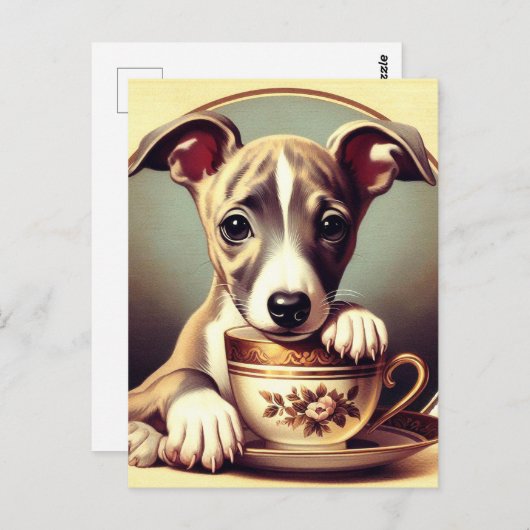 Carte Postale Joli chiot Whippet (Devant / Derrière)