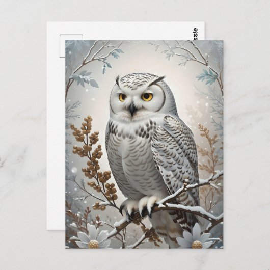 Carte Postale Joli Chouette blanche neige hiver (Devant / Derrière)