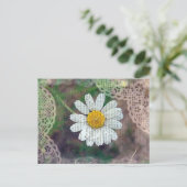 Carte Postale Joli comme une marguerite (Debout devant)