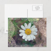 Carte Postale Joli comme une marguerite (Devant / Derrière)
