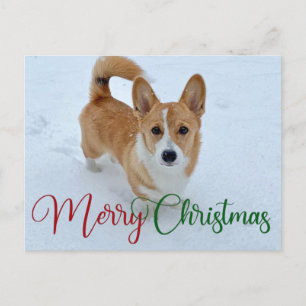 Carte Postale Joli Corgi de Noël avec queue en neige