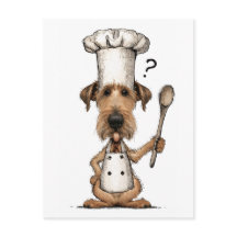 Joli cuisinier Terrier Irlandais en train de cuisi