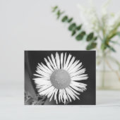 Carte Postale Joli Daisy (Debout devant)