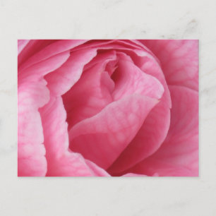 Carte Postale Joli en rose