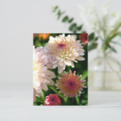 Carte Postale Joli en rose (Debout devant)