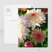 Carte Postale Joli en rose (Devant / Derrière)