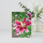 Carte Postale Joli en rose (Debout devant)